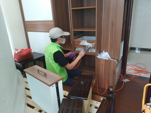 守護清新空氣，構筑健康空間——綠凈源廈門辦公室除甲醛公司專業服務解析