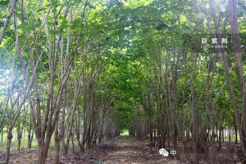 三客游 產(chǎn)銷資訊 四十