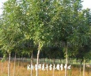 供應電線電纜填充用高檔麻線_紡織、皮革_世界工廠網中國產品信息庫