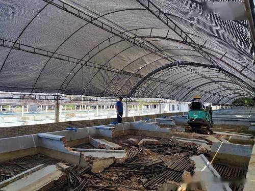 拆 這個(gè)地方的工廠化養(yǎng)殖已清退112家