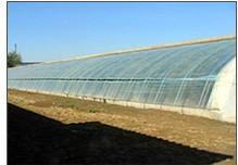 生態(tài) 農業(yè) 工程建設的公司請選擇青州市憶美園林溫室,生態(tài) 農業(yè) 工程建設的公司請選擇青州市憶美園林溫室生產(chǎn)廠家,生態(tài) 農業(yè) 工程建設的公司請選擇青州市憶美園林溫室價格